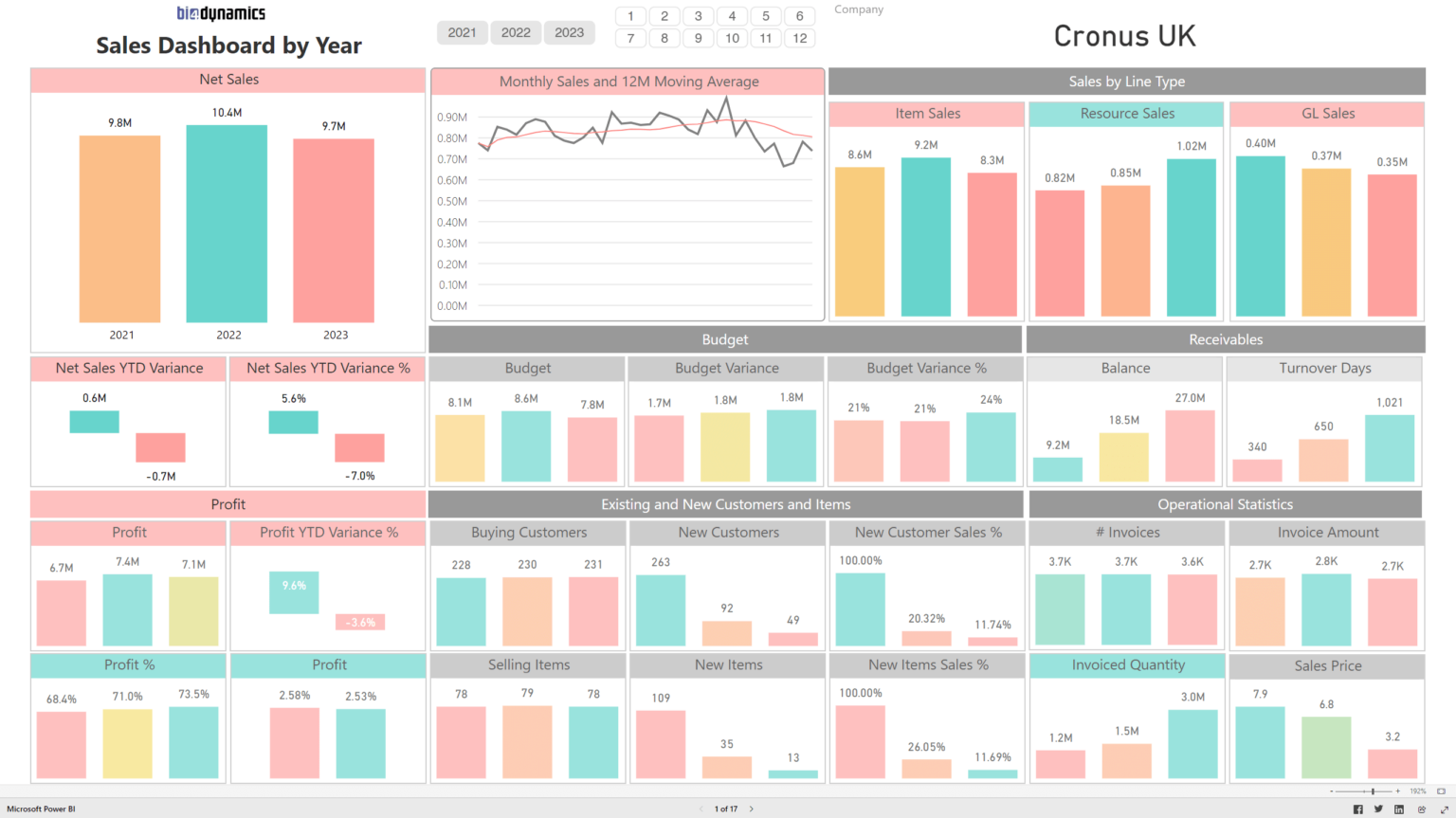 Live Demo Bi Dynamics Business Intelligence For Microsoft Dynamics